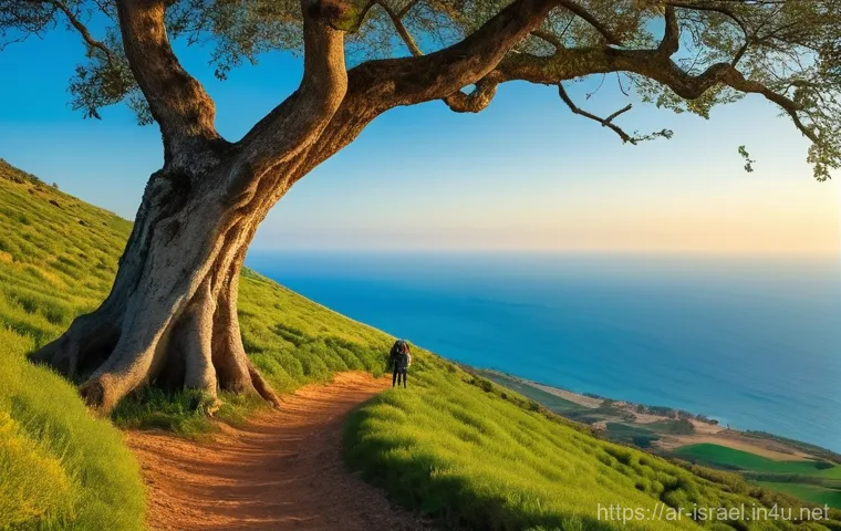 이스라엘 주요 산과 하이킹 코스 - **Galilee Hillside Overlooking the Mediterranean**
    A lone hiker, modestly dressed in practical o...