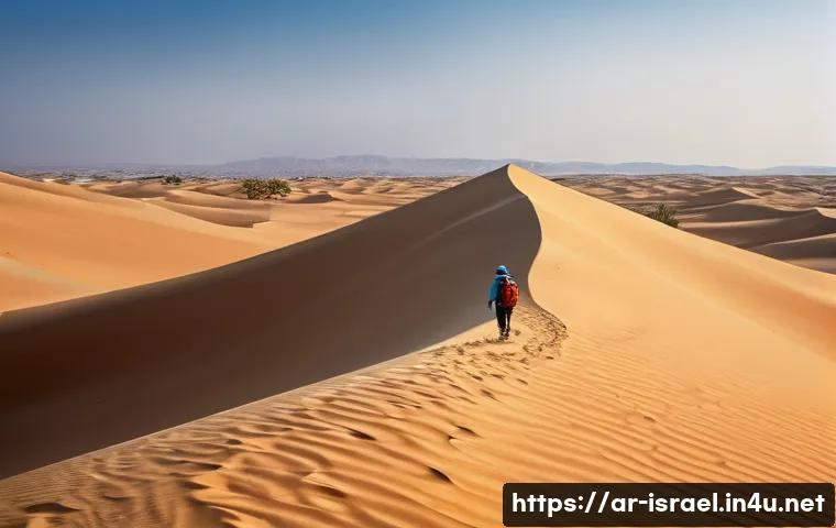 이스라엘의 사막 지형과 여행 방법 - A serene desert landscape in Israel during spring, featuring expansive golden sand dunes gently shap...