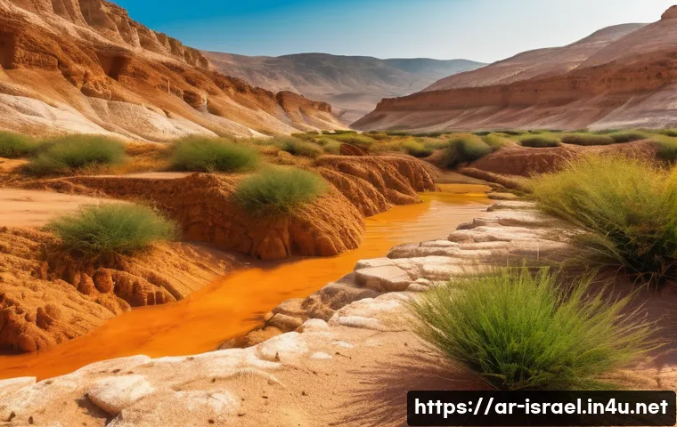 이스라엘의 사막 지형과 여행 방법 관련 이미지 1
